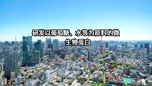 江西富祥药业股份有限公司