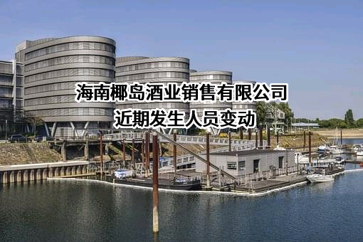 海南椰岛酒业销售有限公司