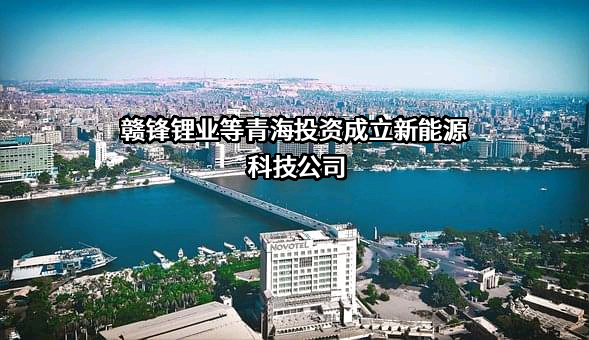 赣锋锂业等青海投资成立新能源科技公司