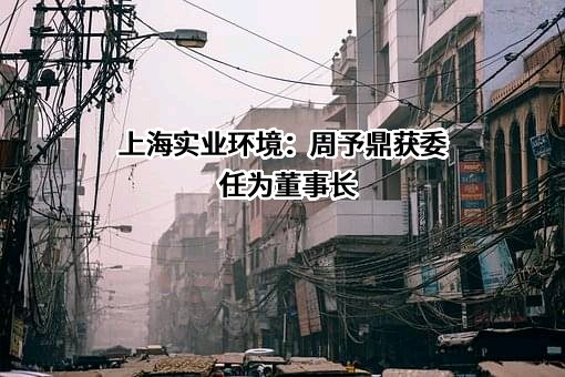 上海实业环境控股有限公司