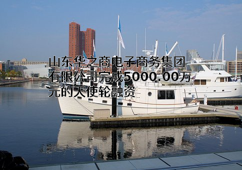 山东华之商电子商务集团有限公司