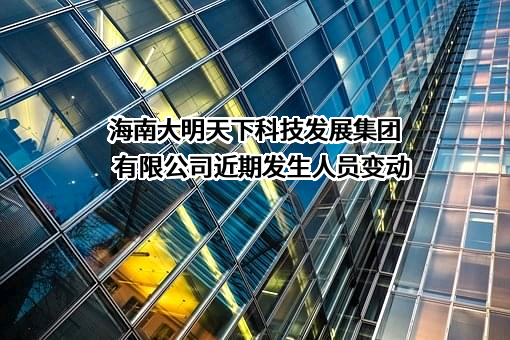 海南大明天下科技发展集团有限公司
