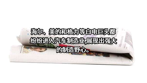 广东威灵汽车部件有限公司