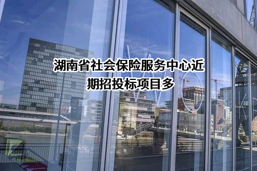 湖南省社会保险服务中心近期招投标项目多