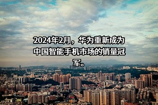 华为技术有限公司