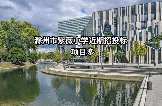 滁州市紫薇小学近期招投标项目多