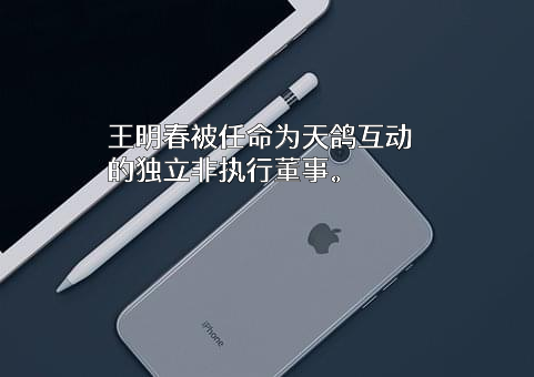 天鸽互动控股有限公司