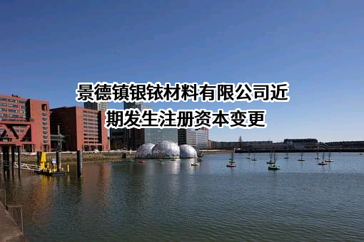 景德镇银铱材料有限公司