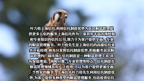 重庆市江北区人民政府