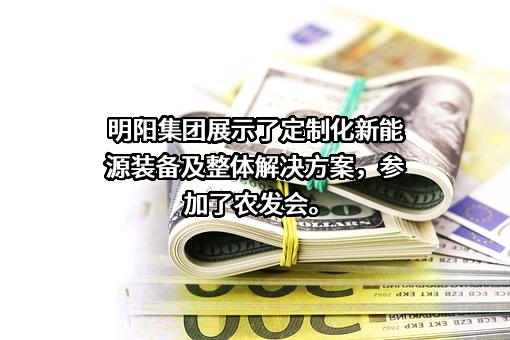 明阳新能源投资控股集团有限公司
