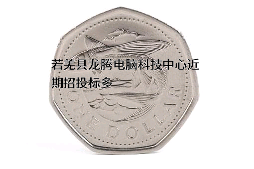 若羌县龙腾电脑科技中心