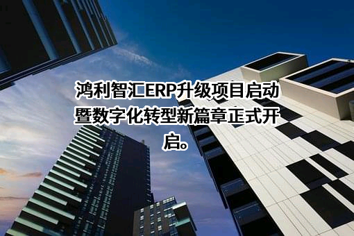鸿利智汇集团股份有限公司