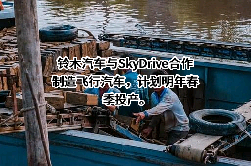 铃木（中国）投资有限公司