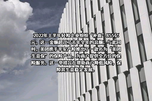 中英人寿保险有限公司