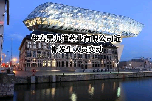 伊春黑九道药业有限公司