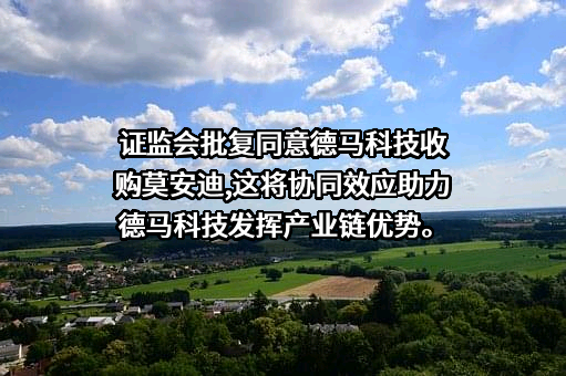 德马科技集团股份有限公司