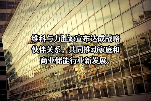 深圳市力胜源电子科技有限公司