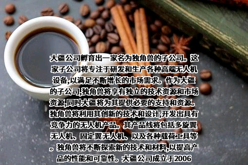 大众汽车（中国）投资有限公司