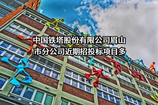 中国铁塔股份有限公司眉山市分公司