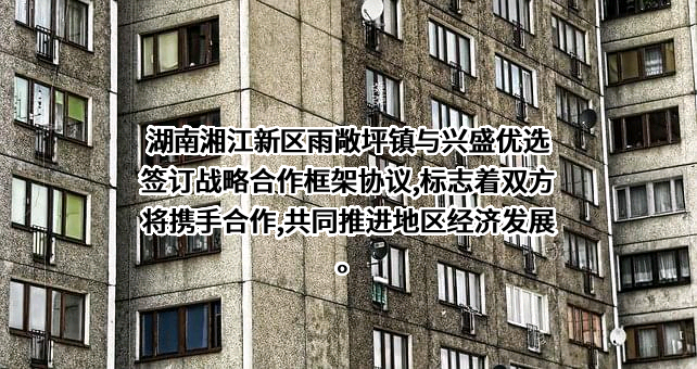 湖南兴盛优选电子商务有限公司
