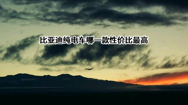 比亚迪股份有限公司