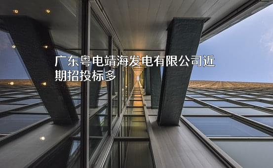 广东粤电靖海发电有限公司