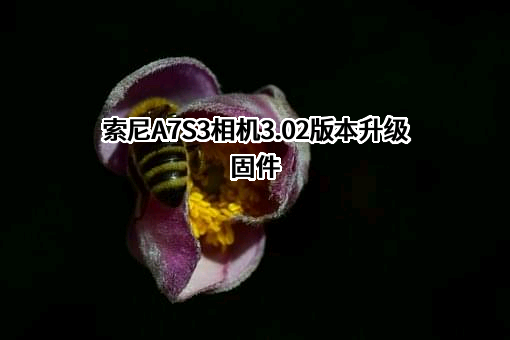 索尼（中国）有限公司