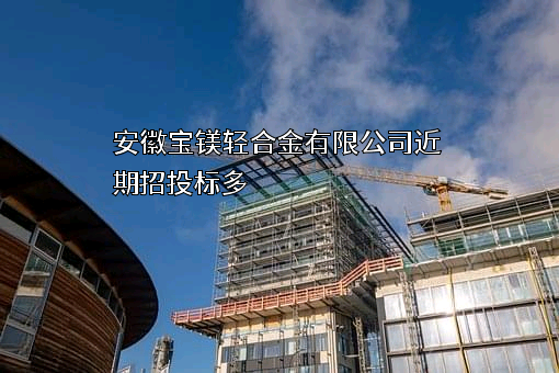 安徽宝镁轻合金有限公司