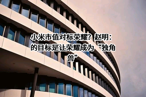 荣耀终端有限公司