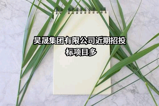 昊晟集团有限公司近期招投标项目多