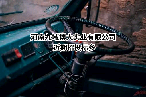 河南九域博大实业有限公司