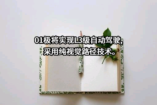 杭州极越汽车销售服务有限公司