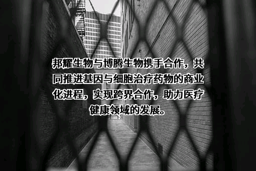 苏州博腾生物制药有限公司