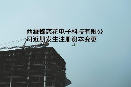 西藏蝶恋花电子科技有限公司