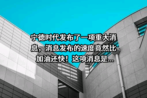 宁普时代数字科技（上海）有限公司