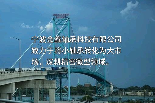 宁波金鑫轴承科技有限公司