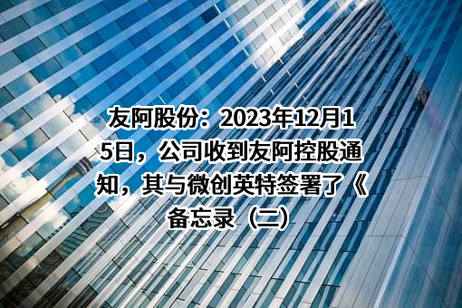 微创英特半导体（中国）有限公司