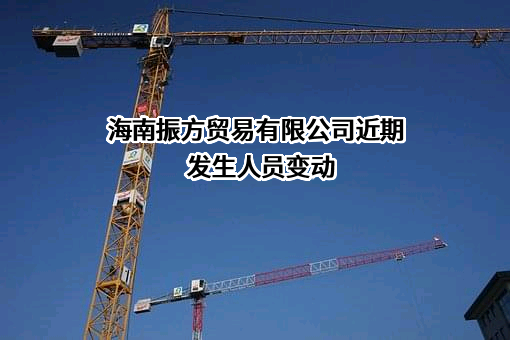 海南振方贸易有限公司