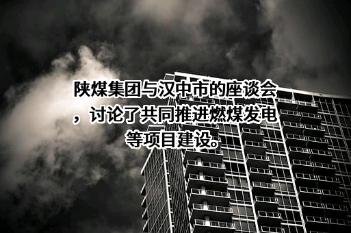陕西煤业化工集团有限责任公司