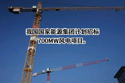 国家能源投资集团有限责任公司