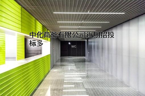 中化商务有限公司