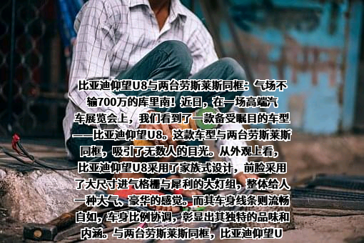 比亚迪股份有限公司