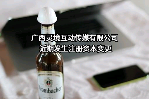 广西灵境互动传媒有限公司