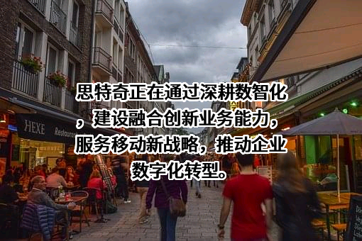 北京思特奇信息技术股份有限公司