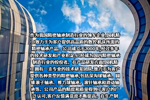 国机精工股份有限公司