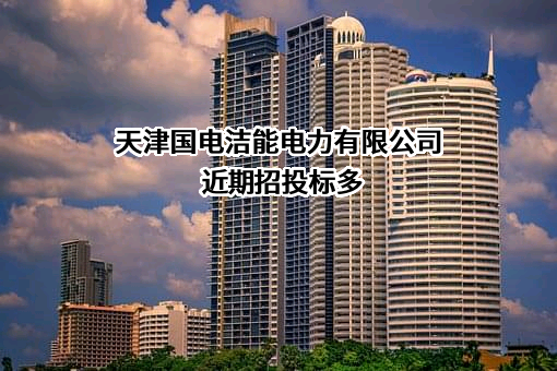 天津国电洁能电力有限公司