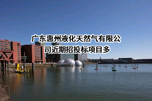 广东惠州液化天然气有限公司