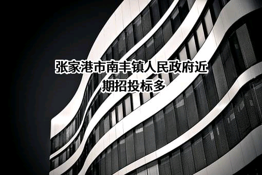 张家港市南丰镇人民政府