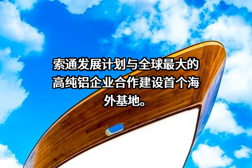 索通发展股份有限公司