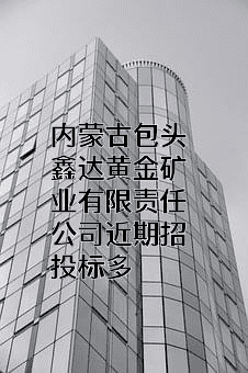 内蒙古包头鑫达黄金矿业有限责任公司